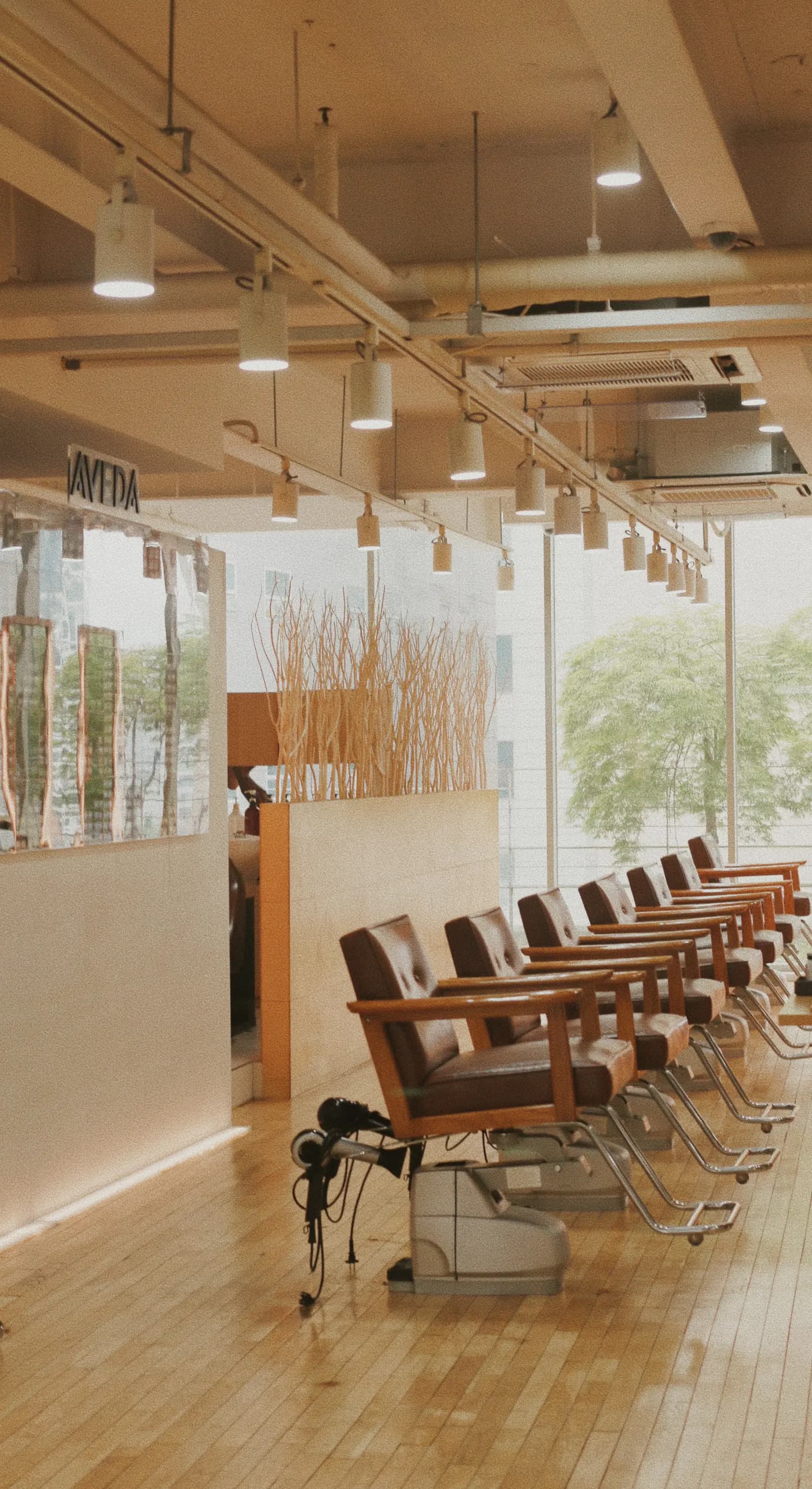 Styling chairs along the window · RARIEN Myeongdong